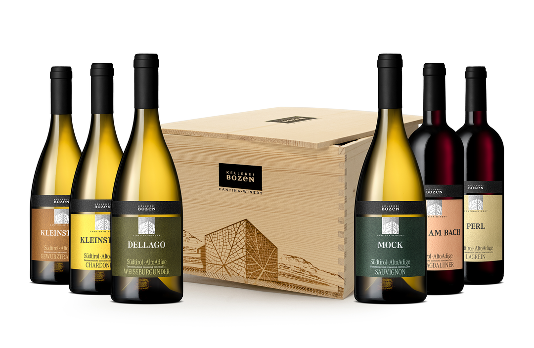 Primavera Election 42